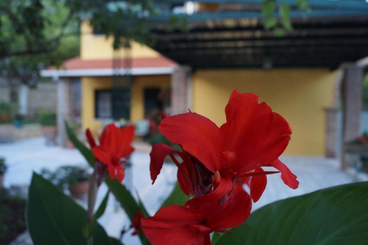 Villa Sofia Parga Luaran gambar